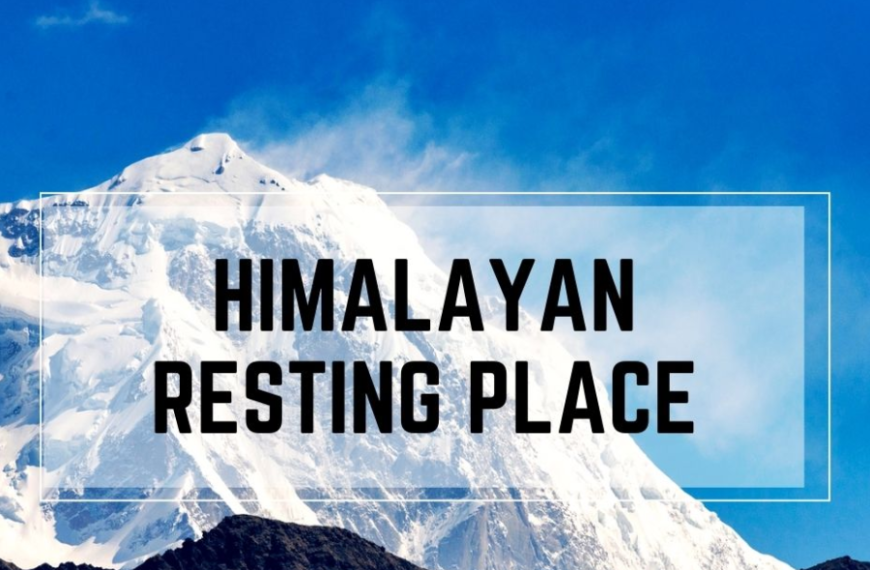 Himalayan Resting Place