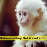 Plan Your Next Journey with Expert Insights from Albino-Monkey.net Travel Archives