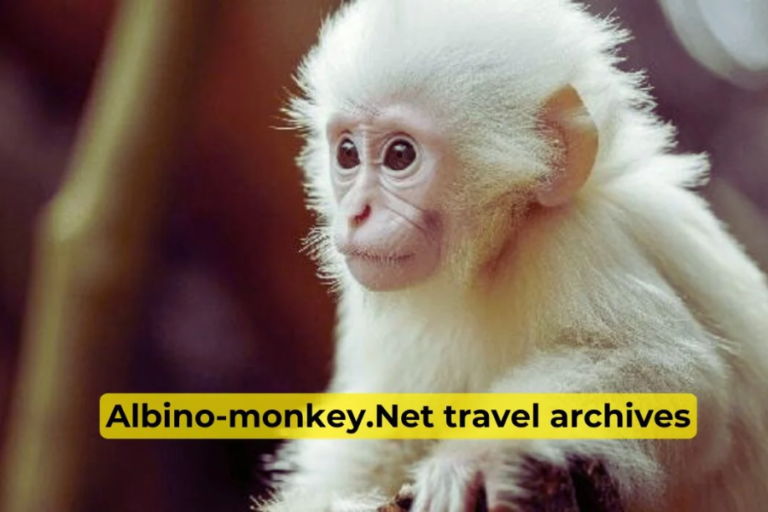 Plan Your Next Journey with Expert Insights from Albino-Monkey.net Travel Archives